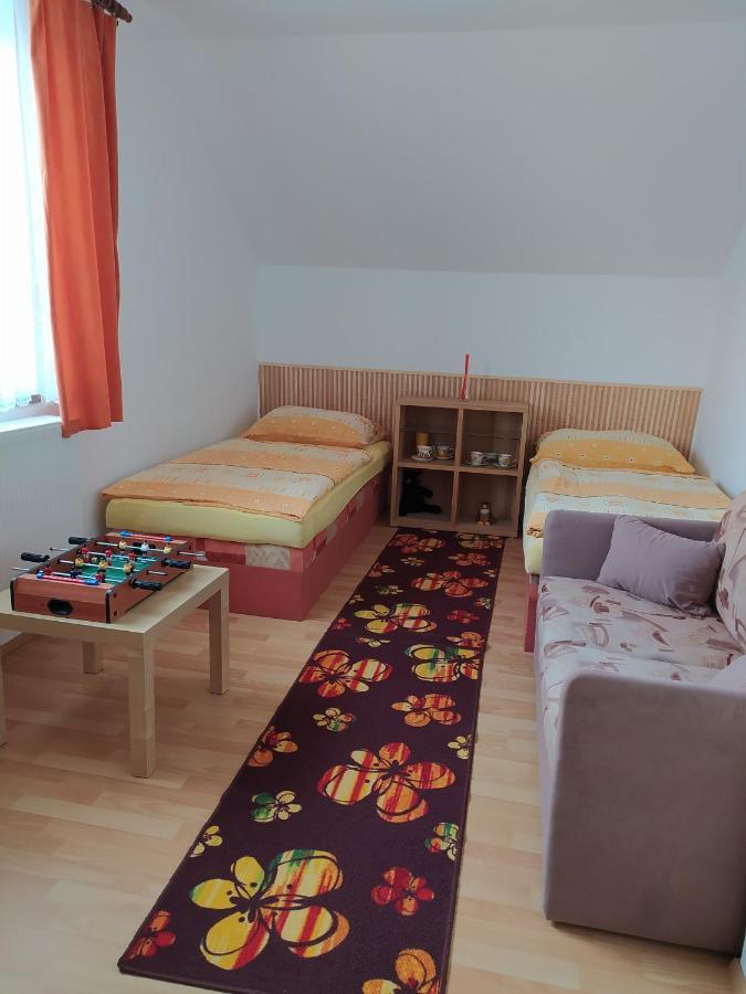 Apartmany U Torina Boží Dar Buitenkant foto