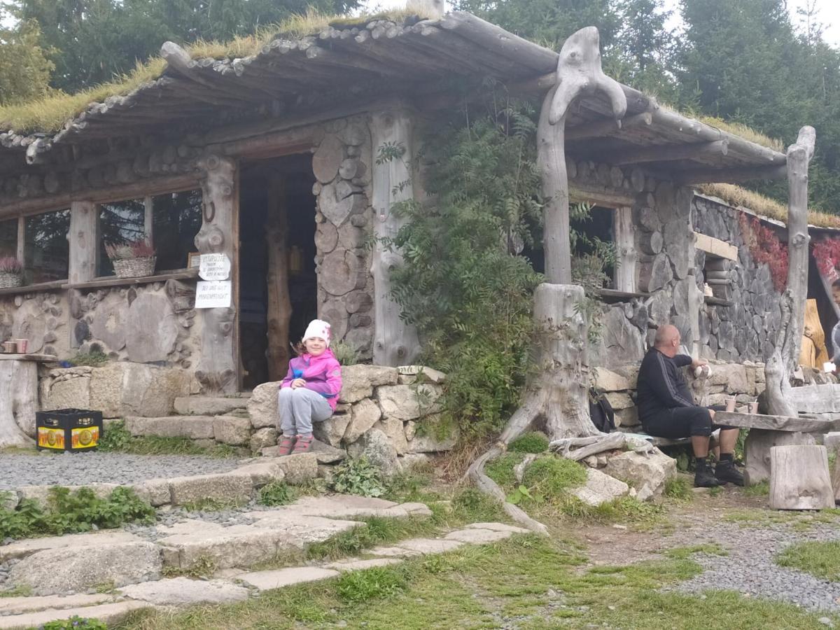 Apartmany U Torina Boží Dar Buitenkant foto