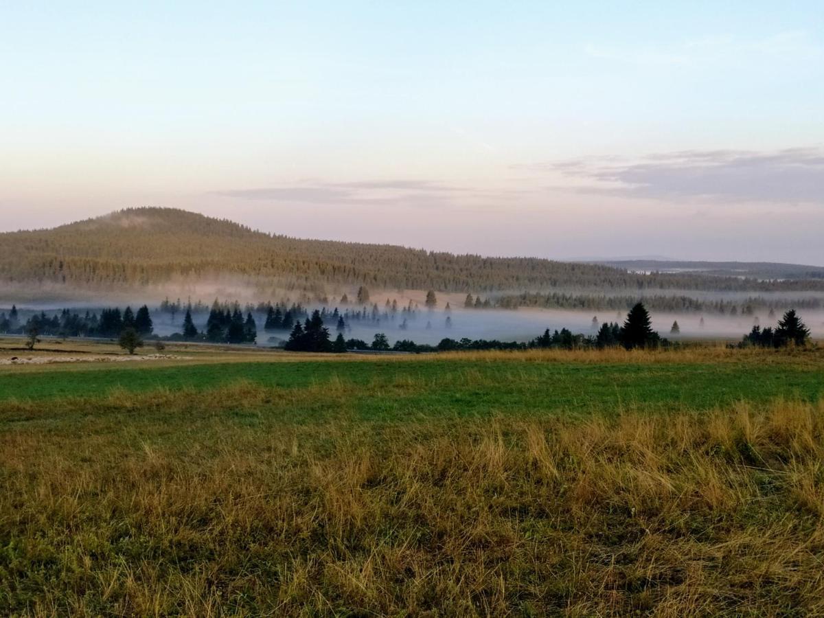 Apartmany U Torina Boží Dar Buitenkant foto
